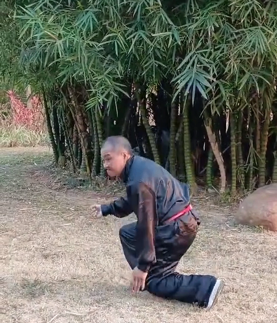 Bai Mei Quan