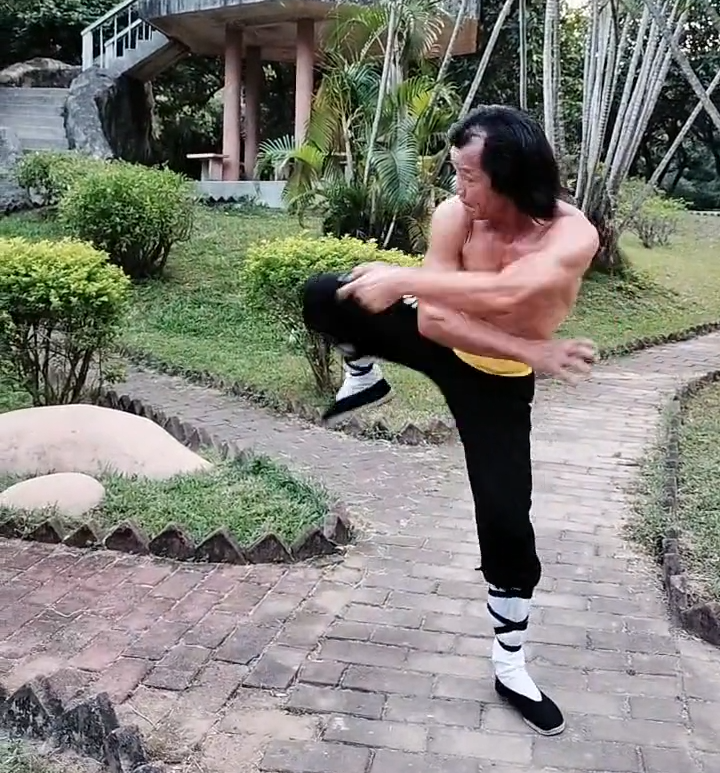 Choy Lee Fut Tournaments: A Celebration of Martial Arts Mastery