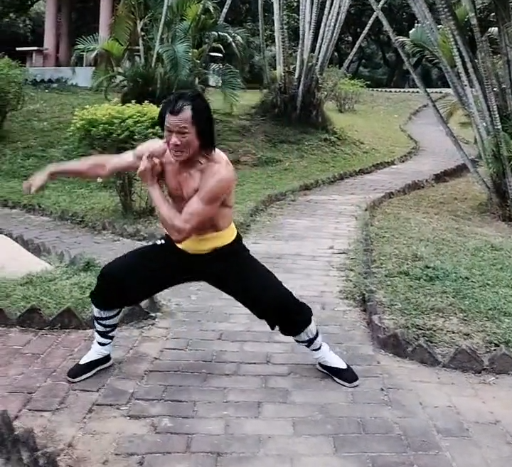 Choy Lee Fut Tournaments: A Celebration of Martial Arts Mastery
