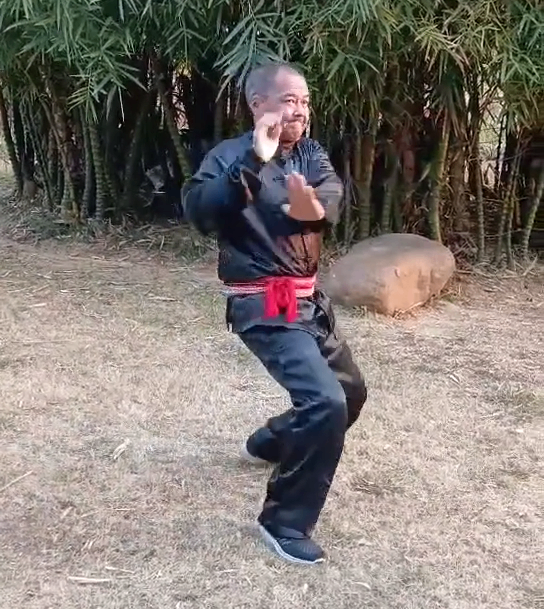 Bai Mei Quan