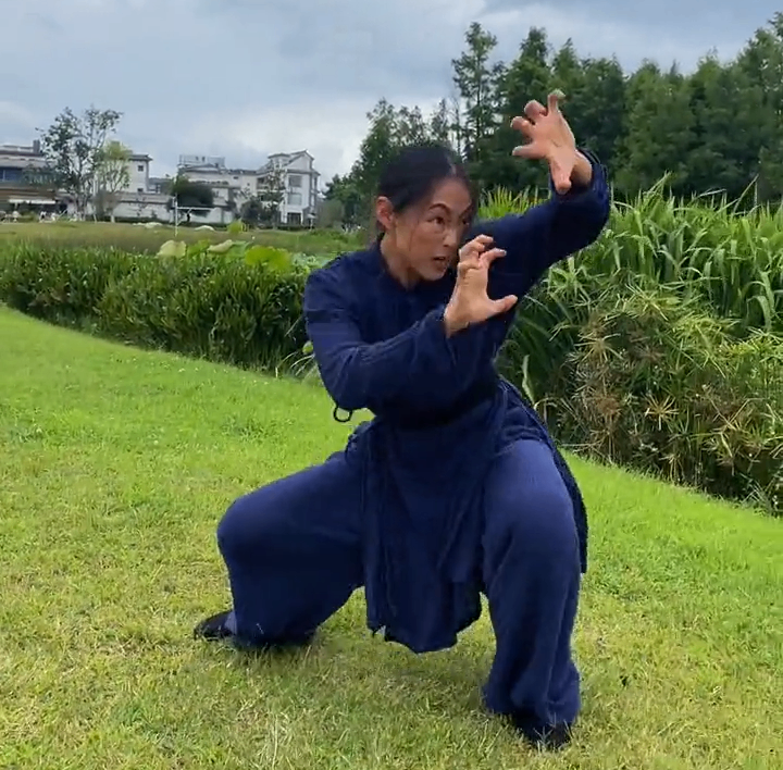 Five Animals Kung Fu