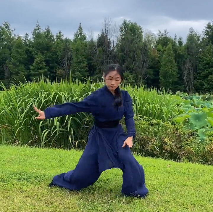 Five Animals Kung Fu