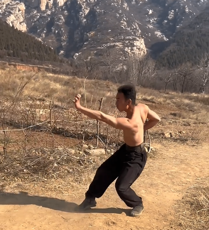 Bak Mei vs. Wing Chun