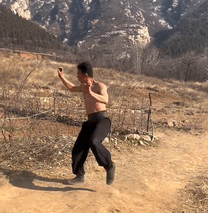 Bak Mei vs. Wing Chun
