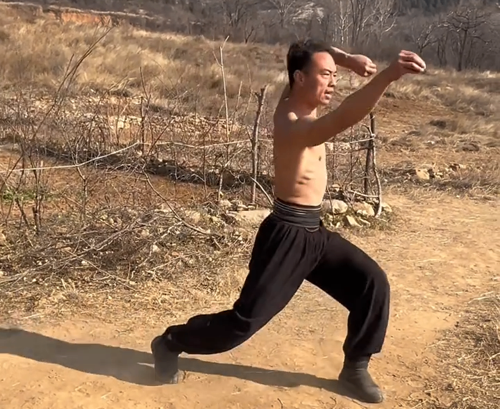 Bak Mei Styles 