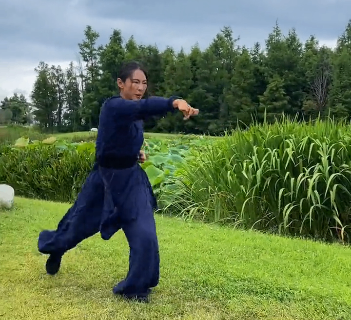 Five Animals Kung Fu
