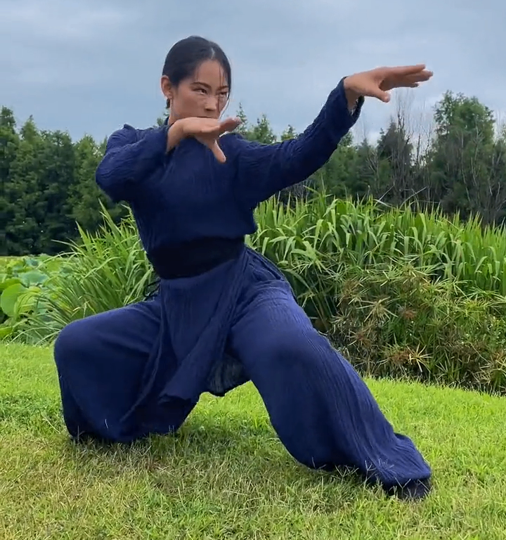 Five Animals Kung Fu