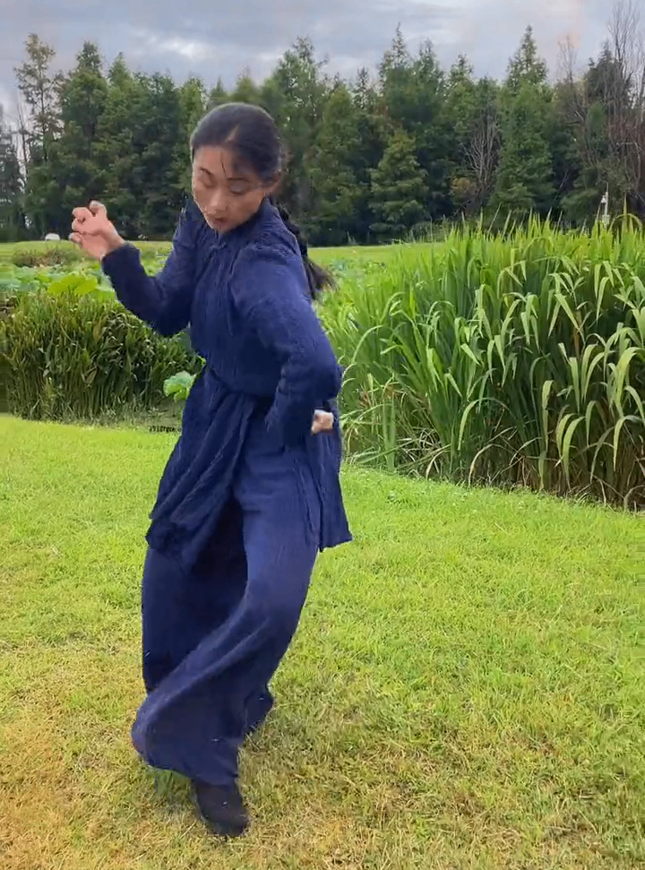 Five Animals Kung Fu