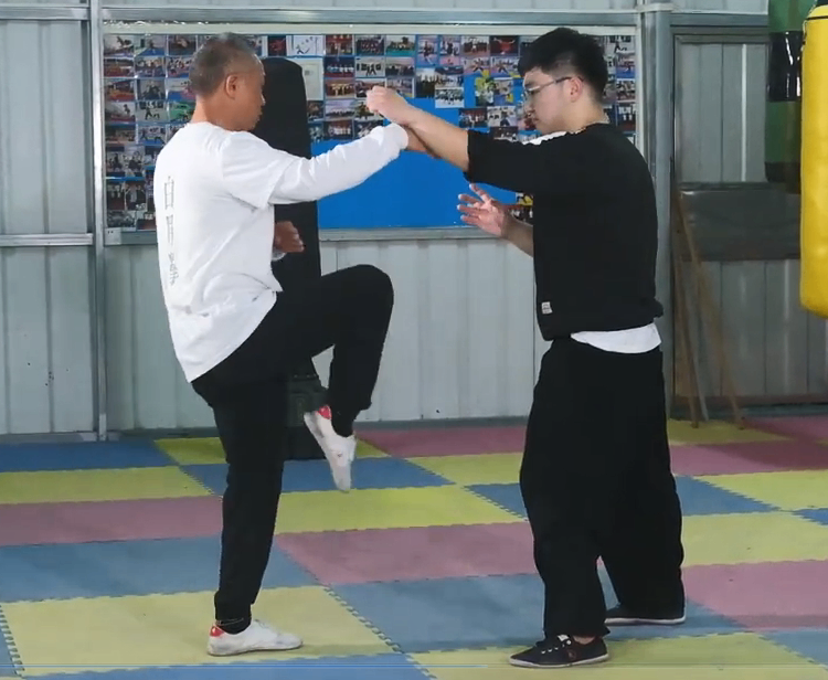 Bai Mei Quan Basic Horse Stance 9: Horse Stance Attack