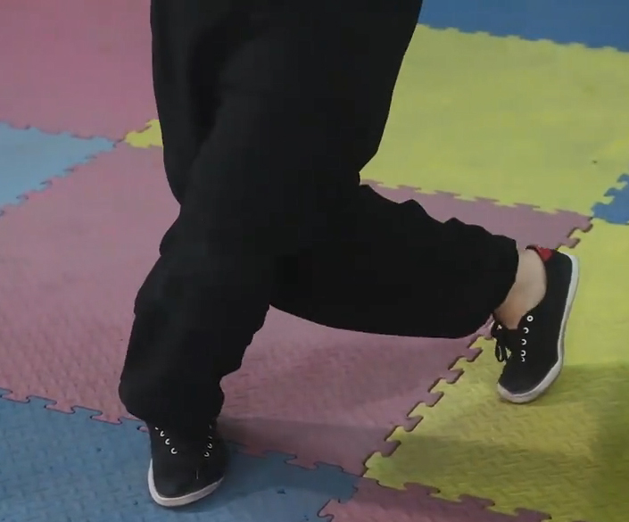 Bai Mei Quan Basic Horse Stance 4: Qilin Stance / Kirin Stance