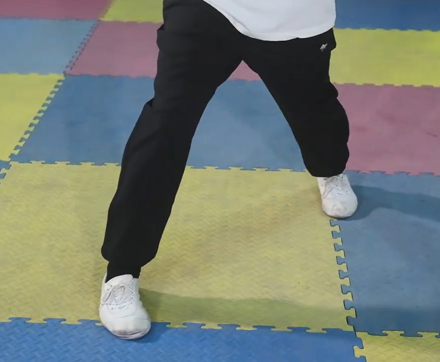 Bai Mei Quan Basic Horse Stance 6: Retrograde triangulation