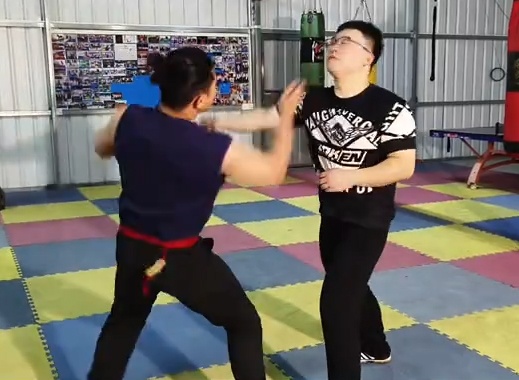 Bak Mei Kung Fu techniques
