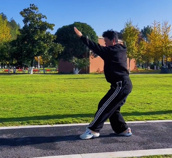 baji quan kung fu