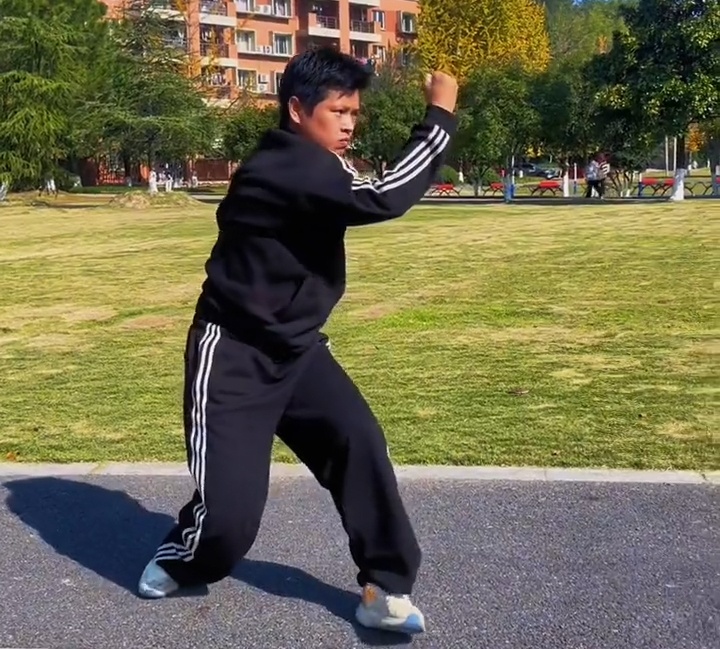 baji quan kung fu