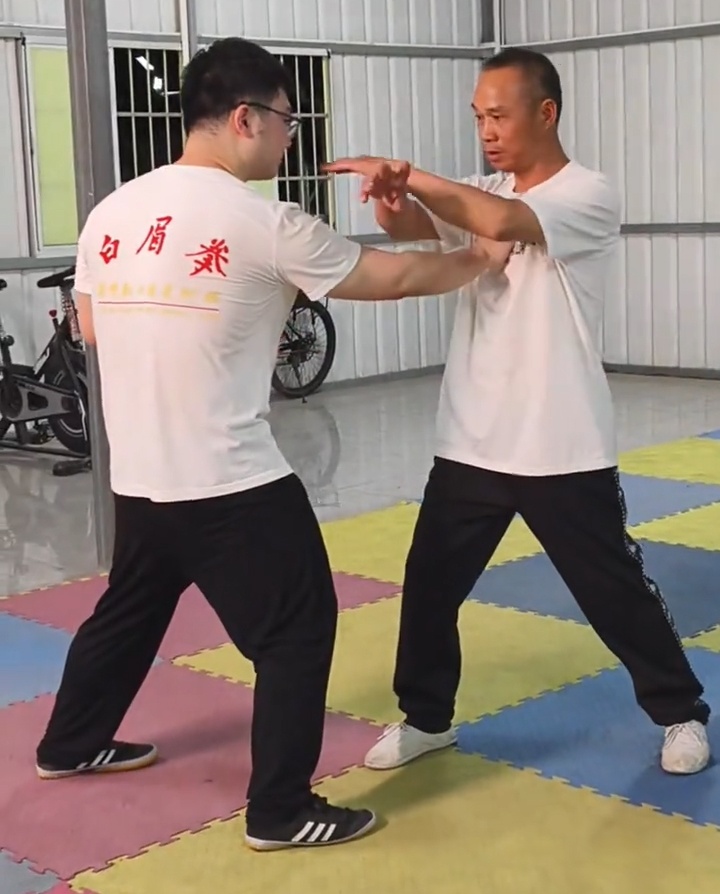 Bak Mei Kung Fu techniques