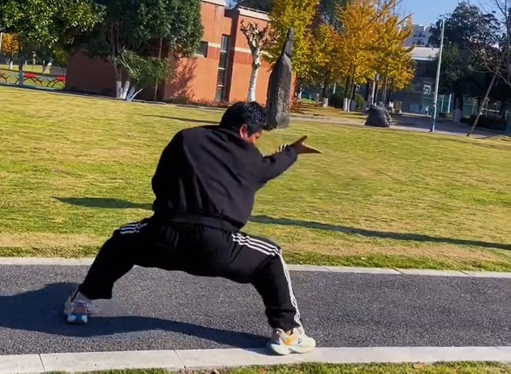 Baji Quan