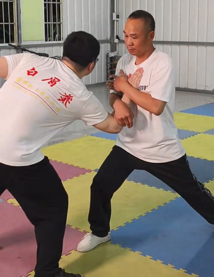 Bak Mei Kung Fu techniques