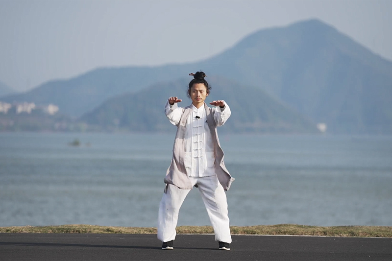 Wudang Daoist Five Elements Qigong: Harmonizing Your Life Energy