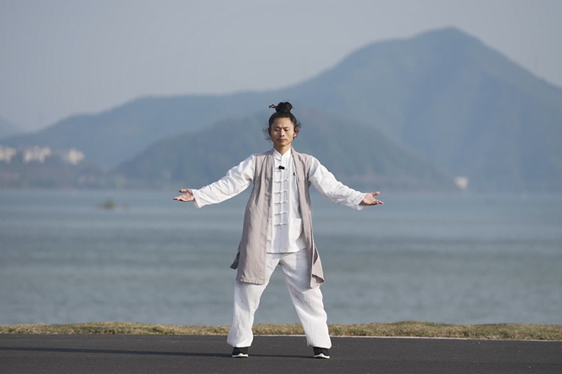 Wudang Daoist Five Elements Qigong: Harmonizing Your Life Energy