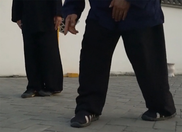 bagua zhang circle walking benefits