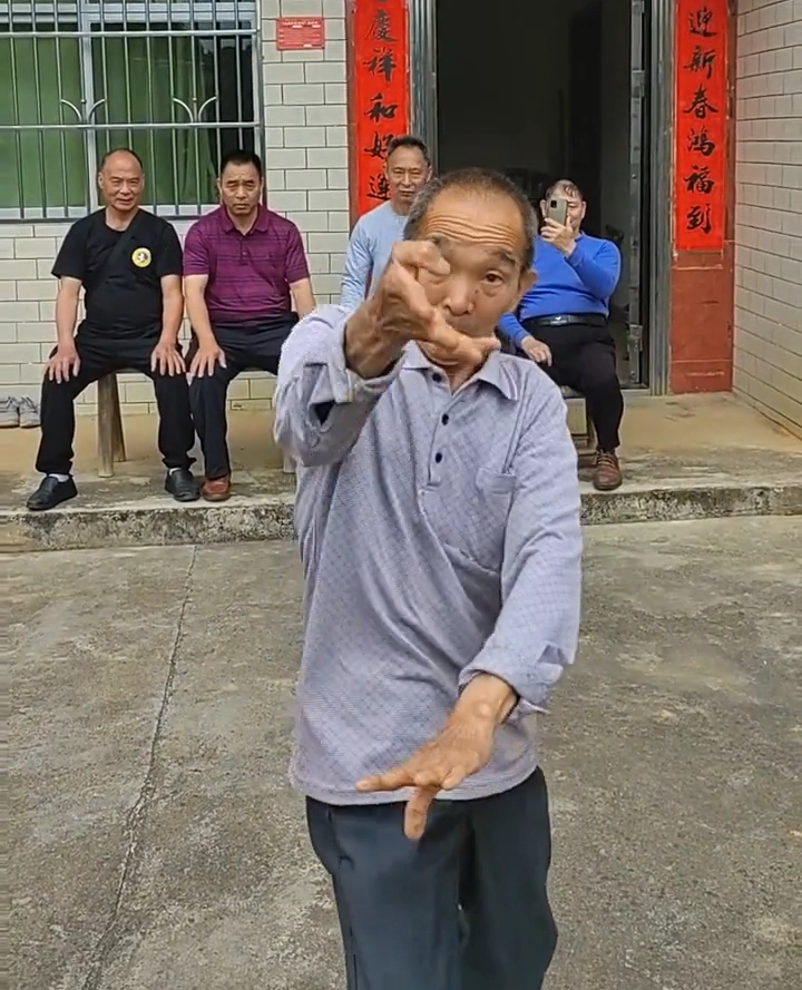 Rare Chinese Kung Fu Styles