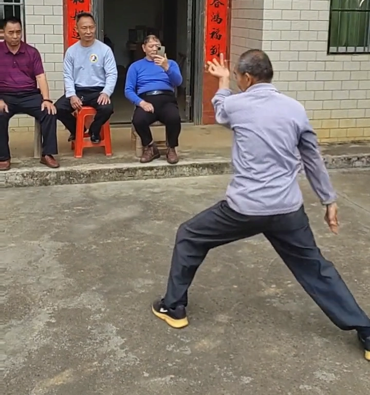 Rare Chinese Kung Fu Styles