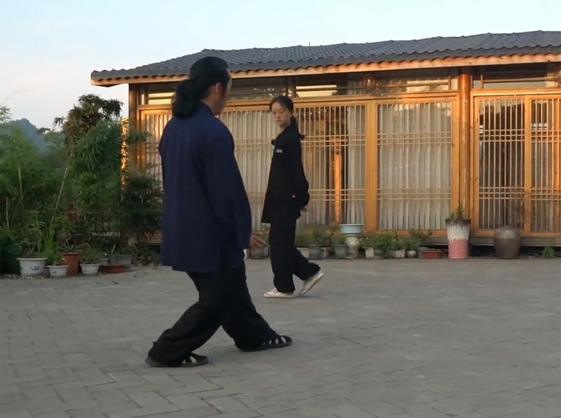 bagua zhang circle walking benefits
