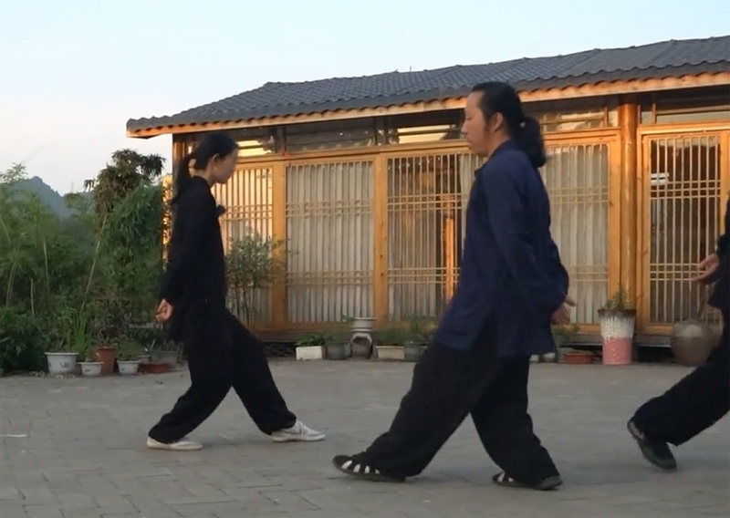 bagua zhang
