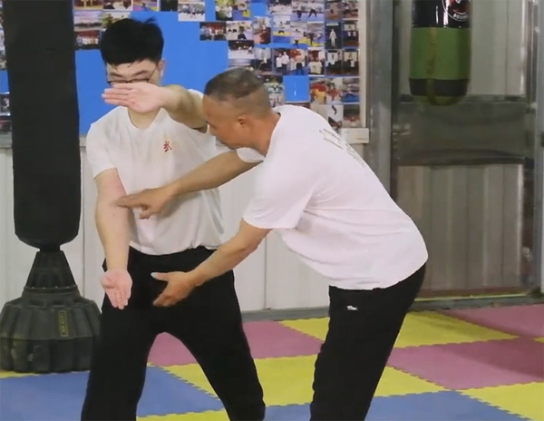 Mastering Bak Mei Kung Fu