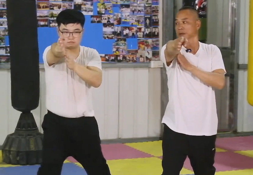 Mastering Bak Mei Kung Fu