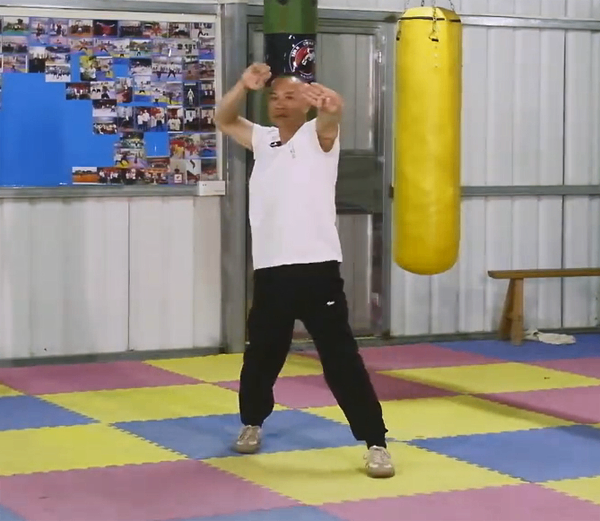 Mastering Bak Mei Kung Fu
