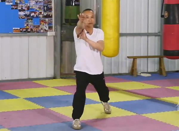 Mastering Bak Mei Kung Fu