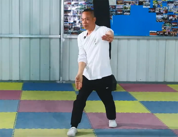 Mastering Bak Mei Kung Fu (Cross Fist) - Movement 2: Step-by-Step Guide