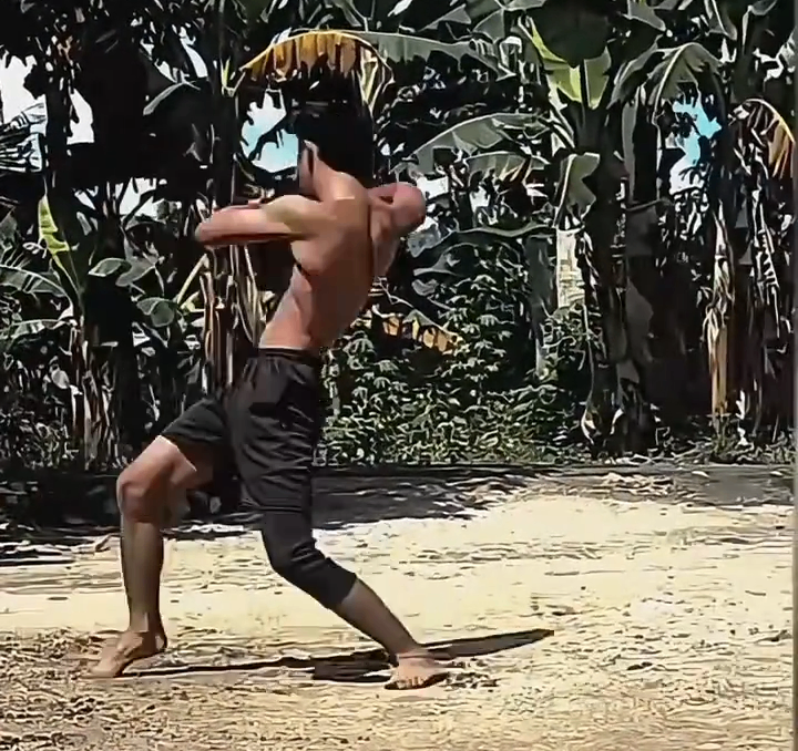 Wing Chun vs. Muay Thai