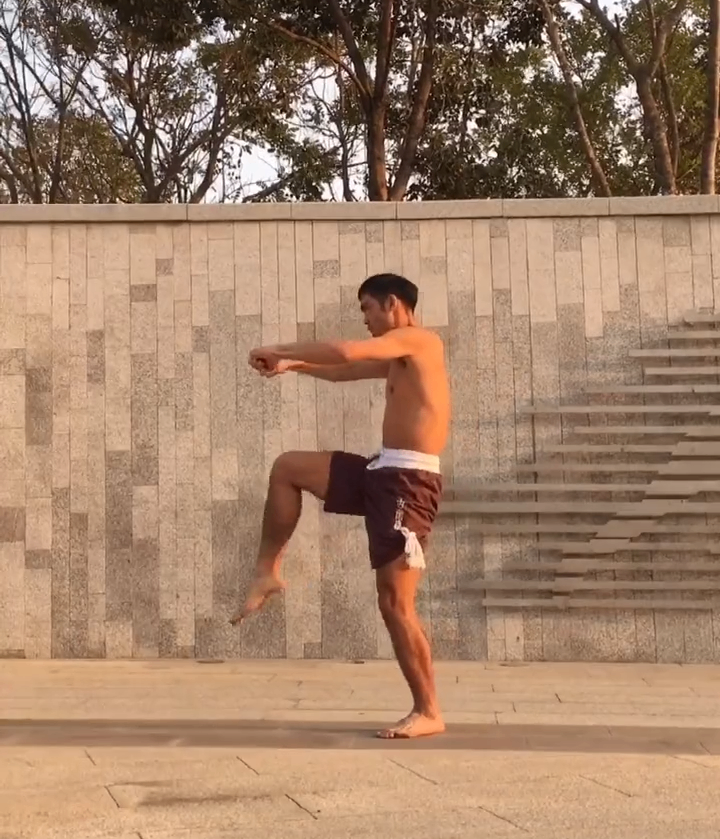 Wing Chun vs. Muay Thai