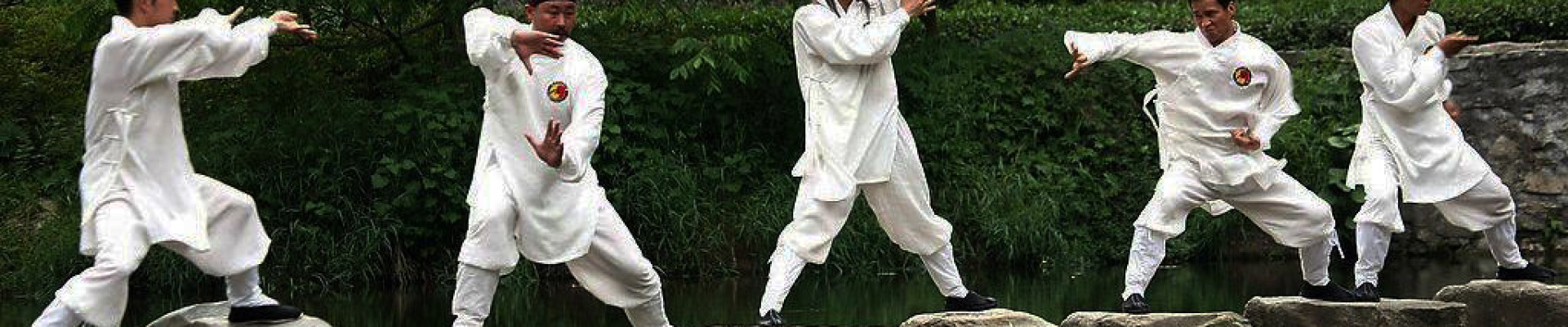 Five Animals Kung Fu