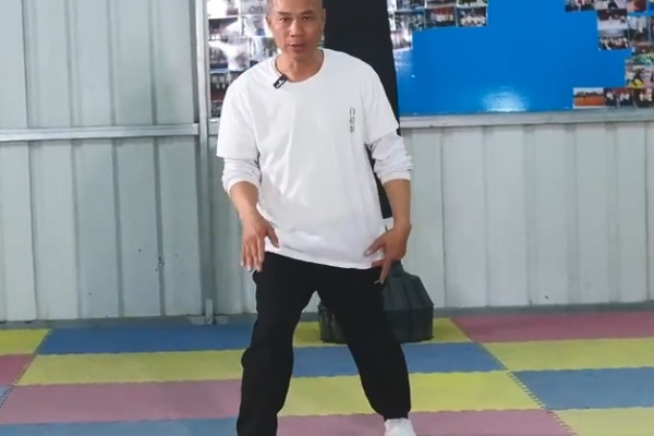 Bai Mei Quan Basic Horse Stance 8: Jibu Technique