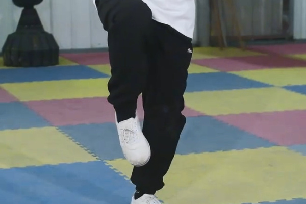 Bai Mei Quan Basic Horse Stance 9: Horse Stance Attack