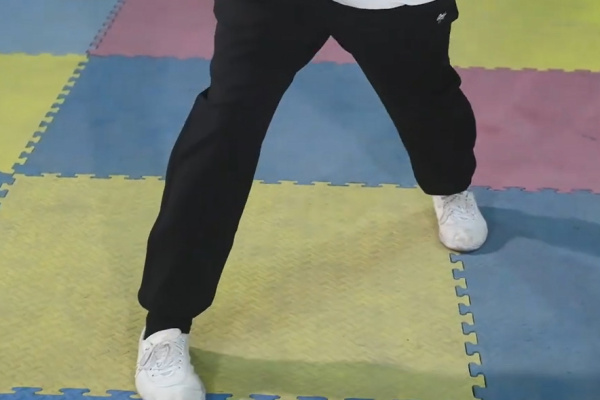 Bai Mei Quan Basic Horse Stance 6: Retrograde triangulation