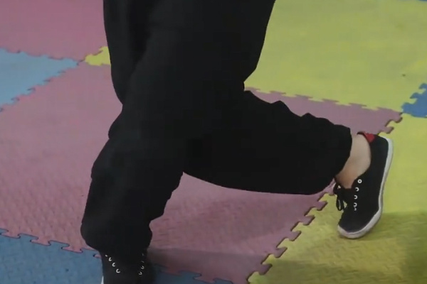 Bai Mei Quan Basic Horse Stance 4: Qilin Stance / Kirin Stance