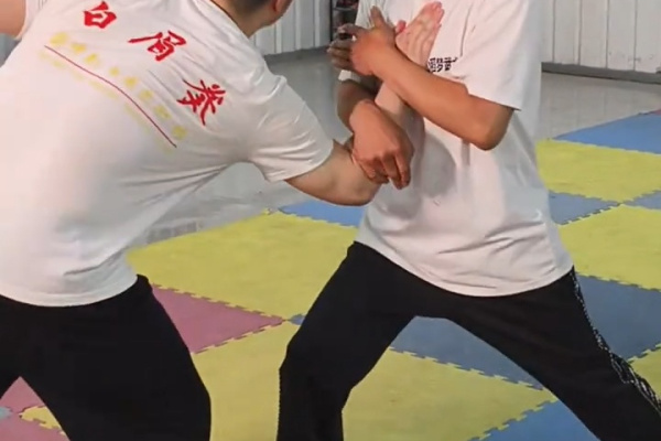 Bak Mei Kung Fu Techniques: The Deadly Efficiency of the White Eyebrow Style