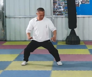 Bai Mei Quan Basic Horse Stance 2: Four-Point Horse Stance