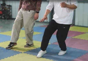 Bai Mei Quan Basic Horse Stance 5: Hovering Step