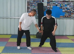 Bai Mei Quan Basic Horse Stance 1: Triangle Horse Stance