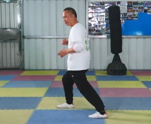 Bai Mei Quan Basic Horse Stance 7: Initiate stance transition protocol