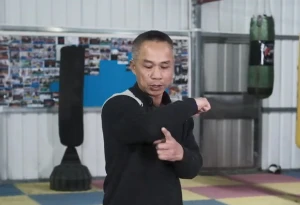 Mastering the Phoenix Eye Hammer in Bai Mei Quan: A Practical Guide