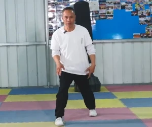 Bai Mei Quan Basic Horse Stance 8: Jibu Technique