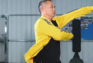 Mastering Bai Mei Quan's Charging Hammer Technique for Effective Striking