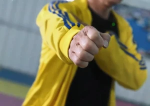 Mastering White Eyebrow Fist Sparring Techniques: The Single Whip Hammer