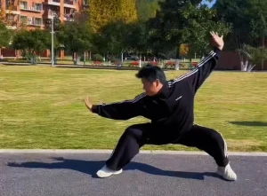 Unlock Explosive Power: Your Guide to Learning Baji Quan (Eight Extremes Fist)
